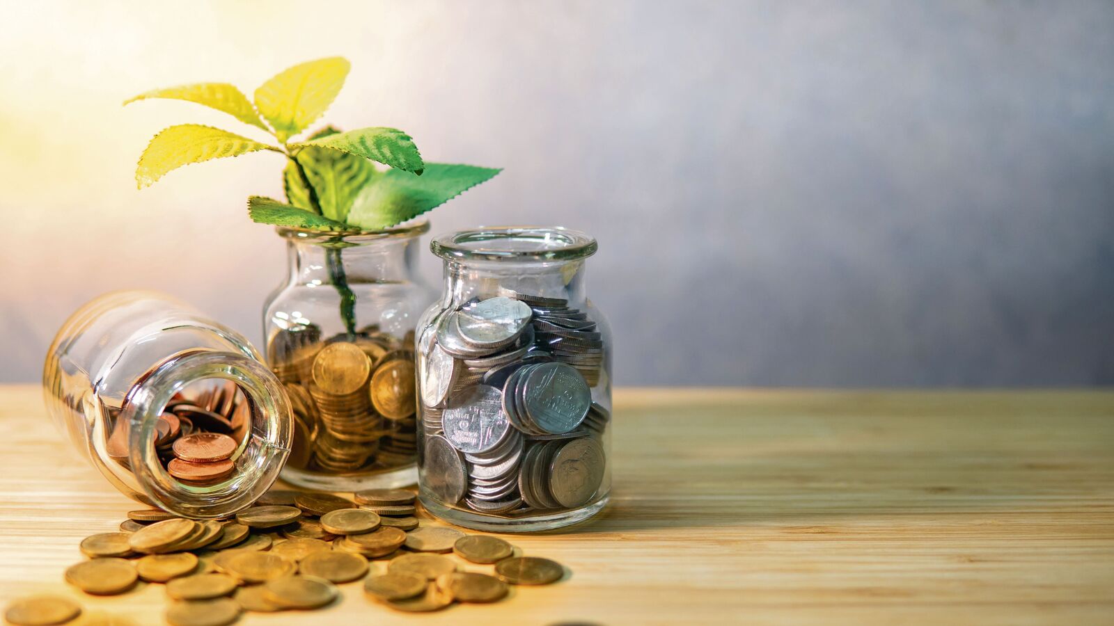 Investment mantra: How much should you allocate to small-cap funds?