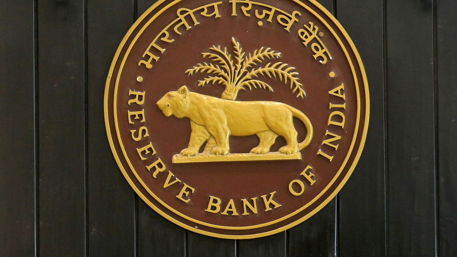 RBI’s framework for SROs: From minimum net worth to mix of members, key regulations explained