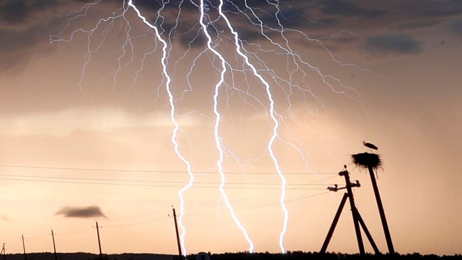 Chhattisgarh news: 7 killed, 3 injured in lightning strike in Balodabazar-Bhatapara district, say officials