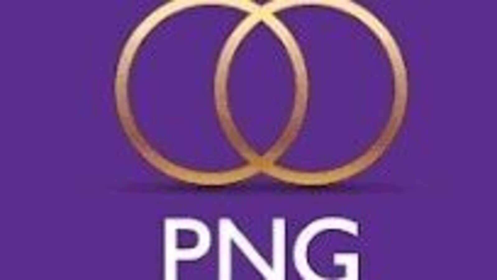 PNG Jewellers IPO: Maharashtra-based firm mobilises ₹330 crore from anchor investors ahead of public issue